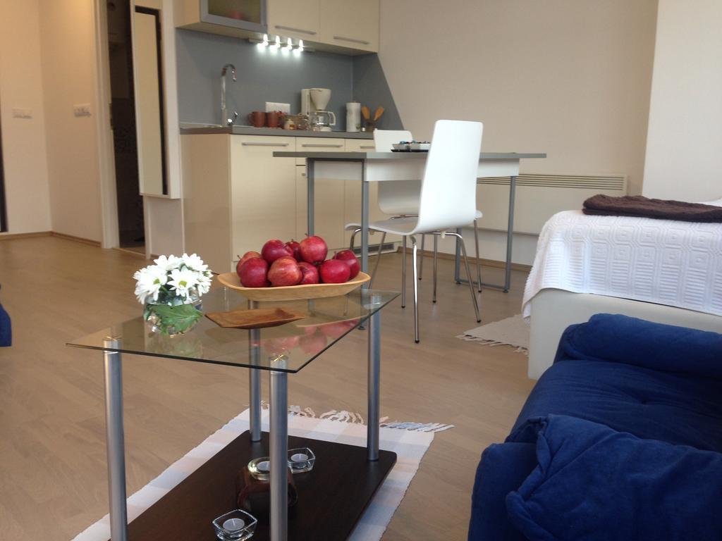 Dea'S Studio Apartment 사라예보 객실 사진
